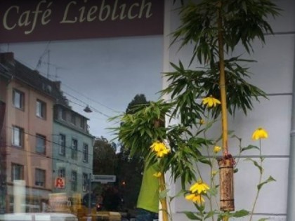 Photo: Lieblich